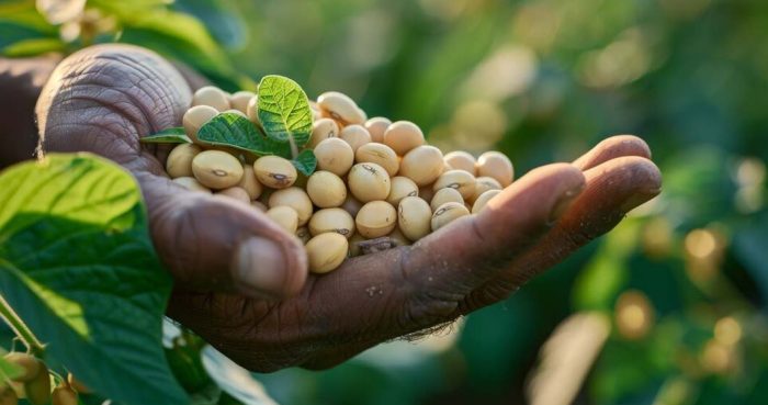 Associação dos Fazendeiros do Vale do Araguaia e Xingu, Advogado João Paulo Brzezinski, joao paulo brzezinski